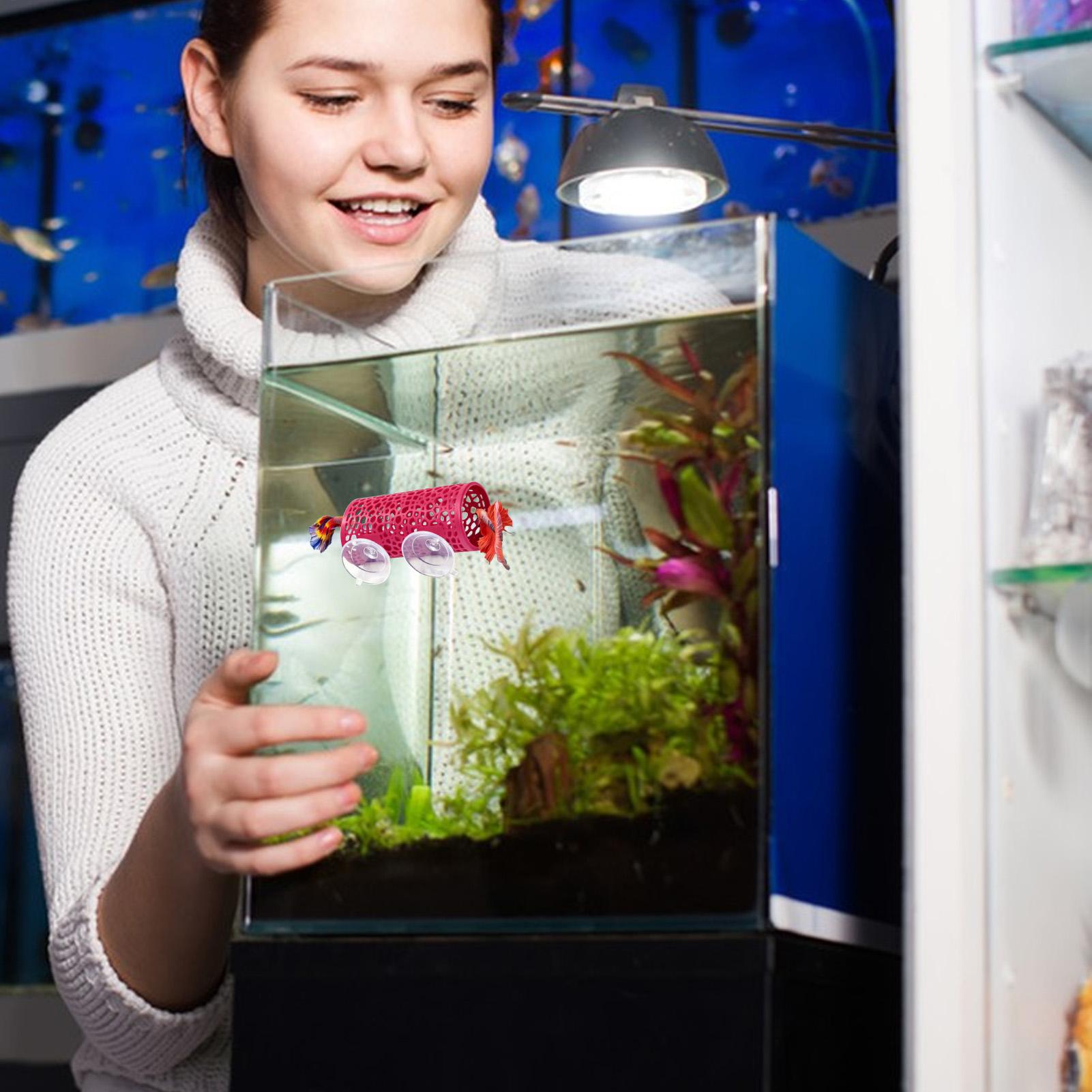 Fish Toy In Aquarium - 베타 생태 환경 휴식처 장식품 물고기
