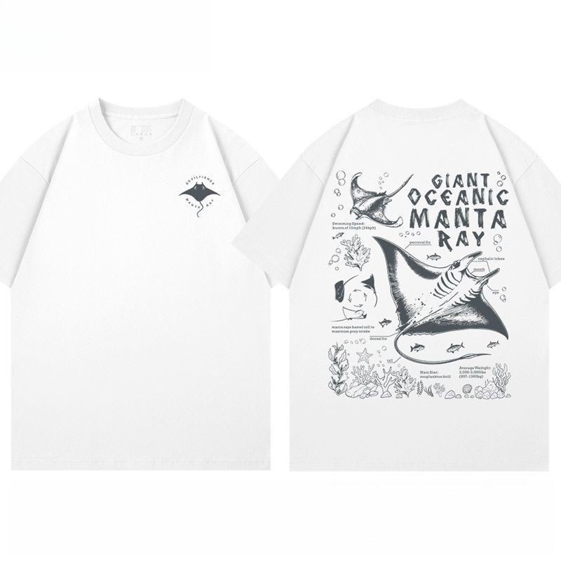 Aquarium Fish Popular - 2026년 신상 만타레이 악마 물고기 수족관