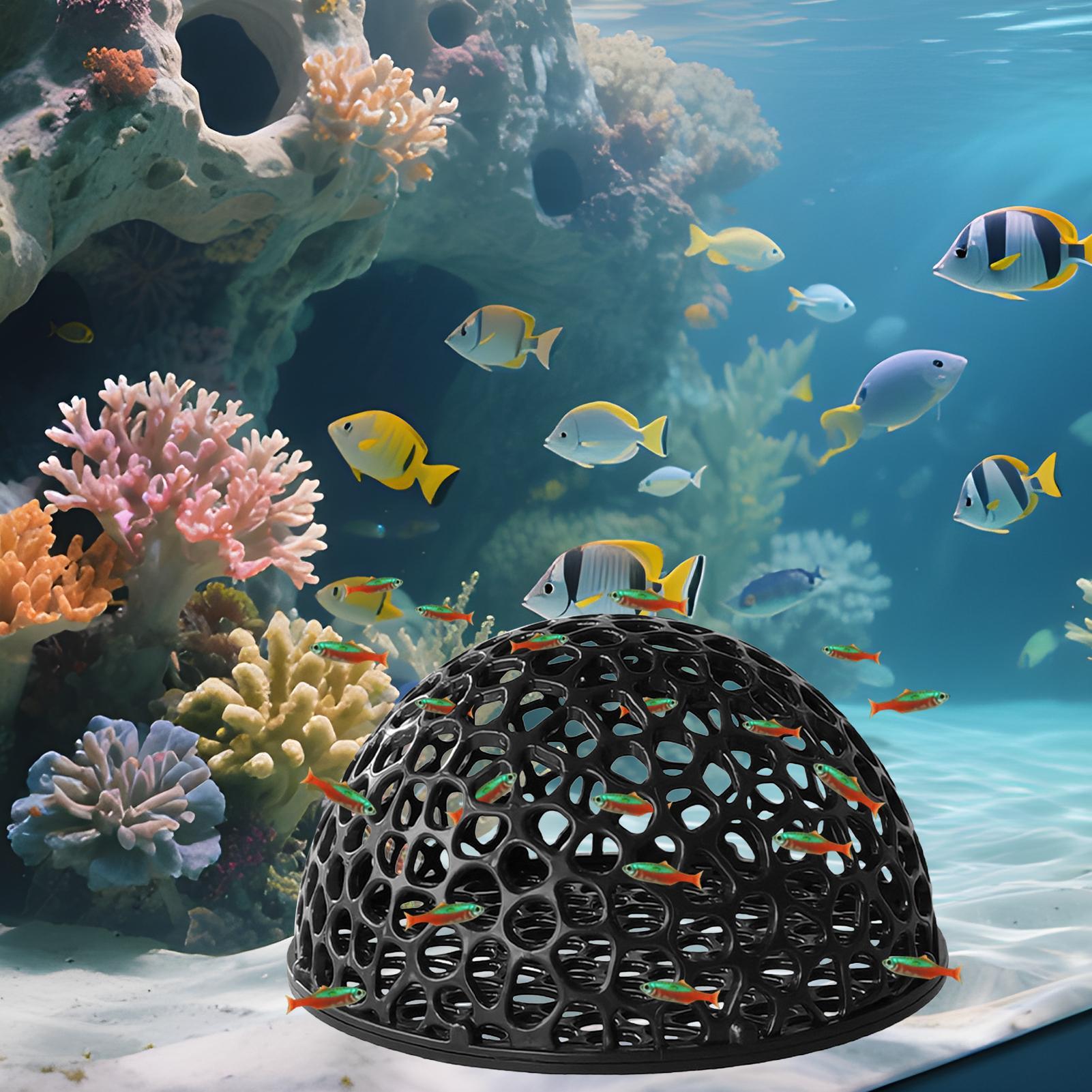 Aquarium Fish Hiding Spot - 수족관 새우 집 동굴 미니 다공성