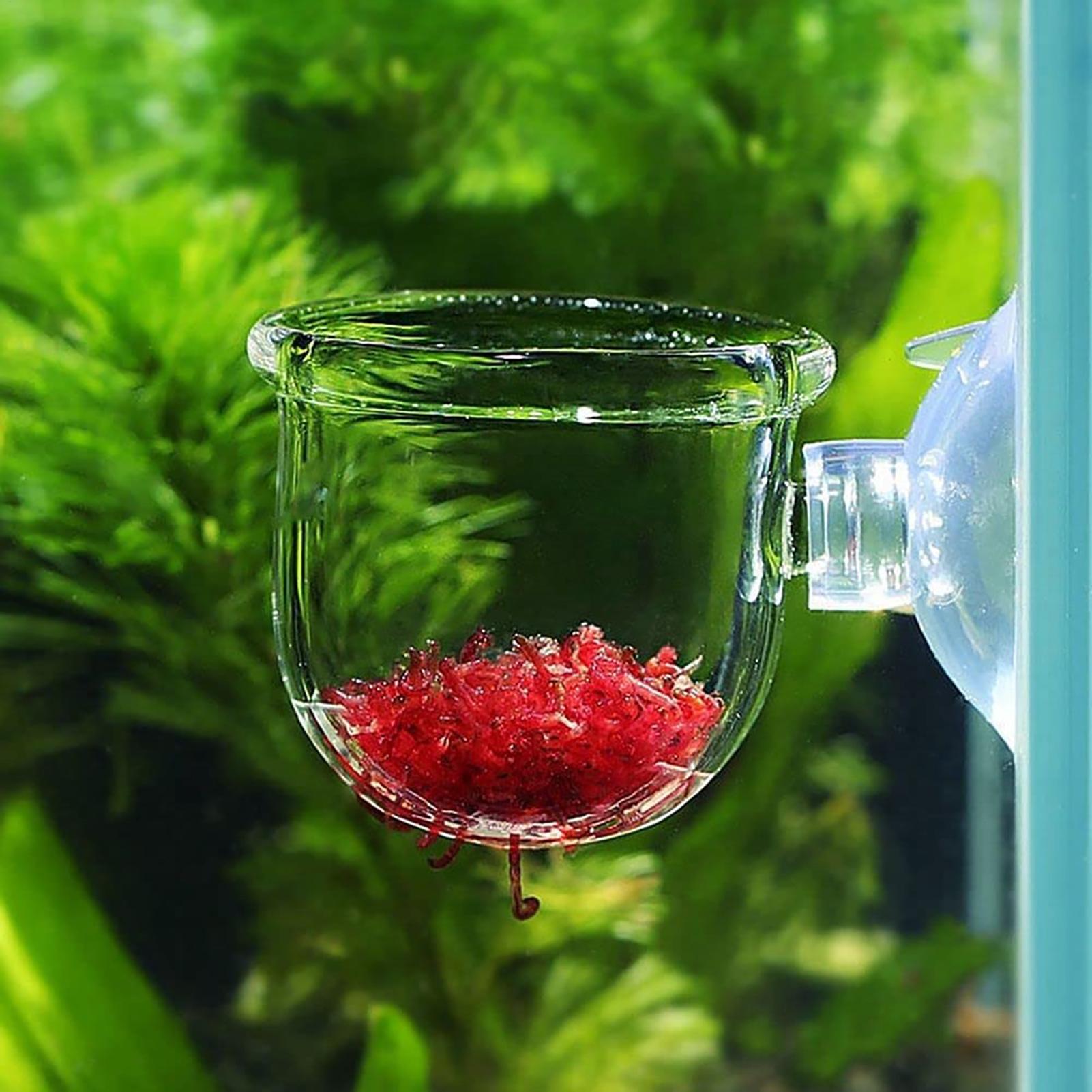 Aquarium Fish Beautiful - 어항용 식물 홀더 투명 아크릴 수족관