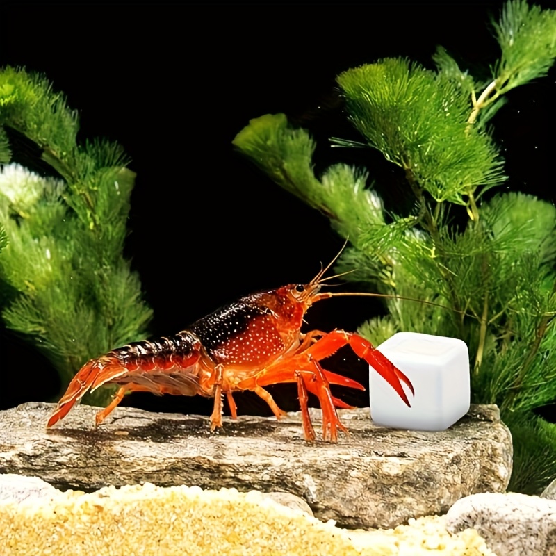 Aquarium Fish Lego - 어항용 칼슘 블록 6개 세트, 미네랄,