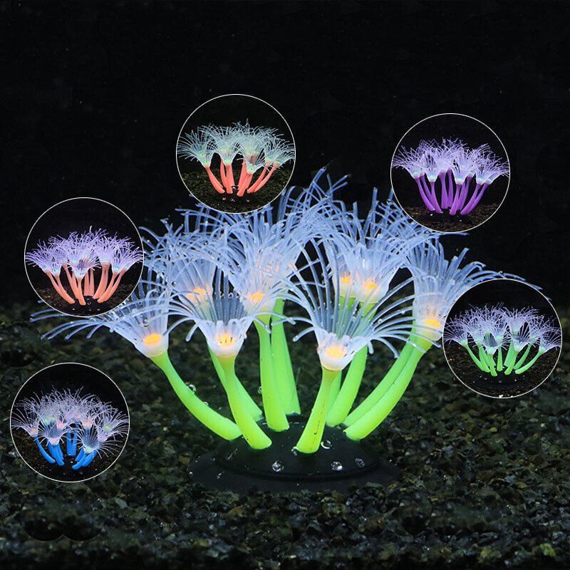 실리콘 발광 조경 인공 어항 물광 발광 산호 해바라기  - Aquarium Fish Enrichment 리뷰 및 가격