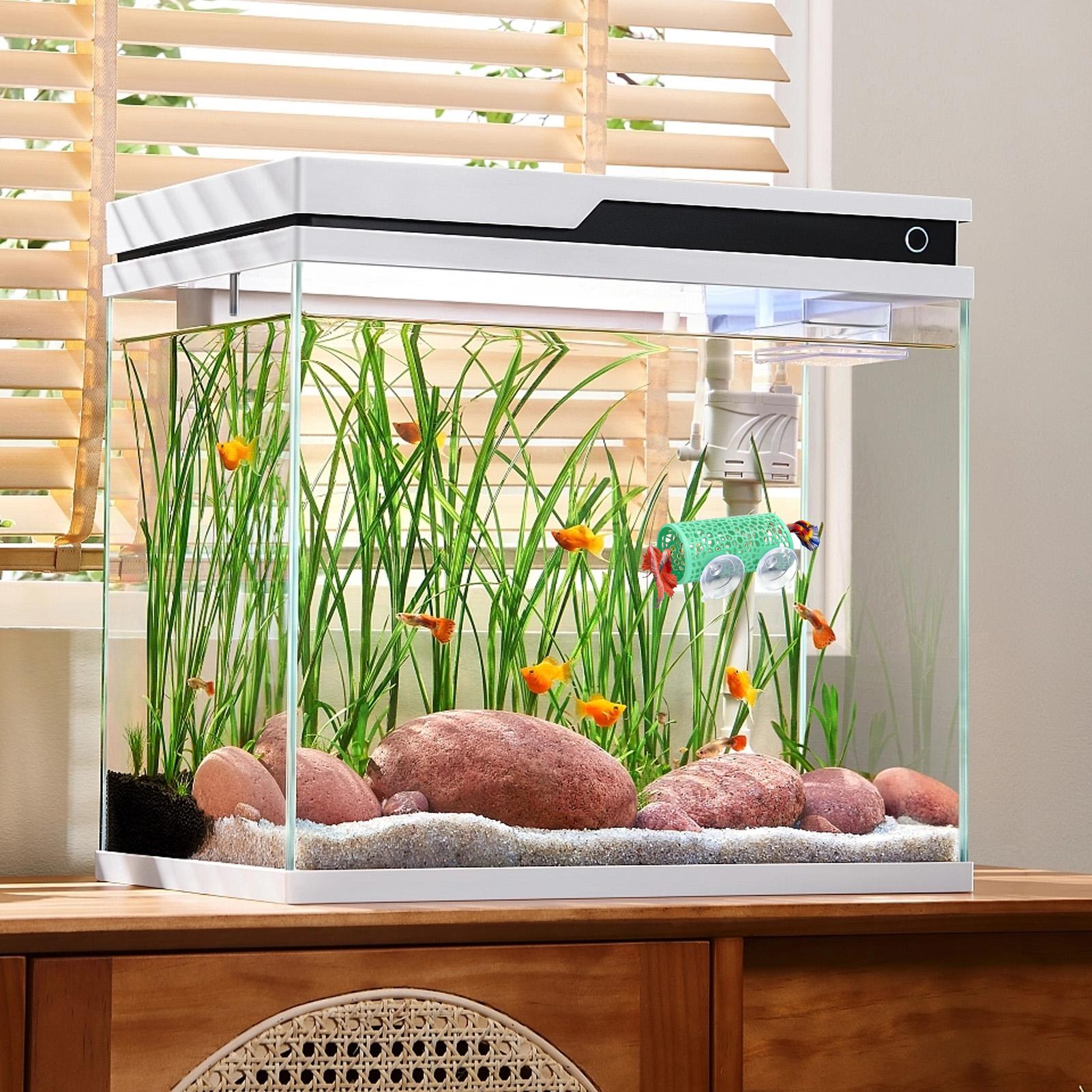 베타 생태 환경 휴식처 장식품 물고기 터널 장난감, 수 - Fish Toy In Aquarium 리뷰 및 가격