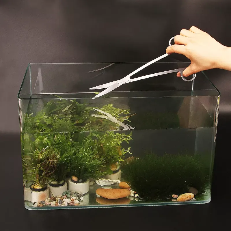 인기 수족관 도구 세트, 어항 액세서리, 물고기 탱크  - Aquarium Fish Popular 리뷰 및 가격