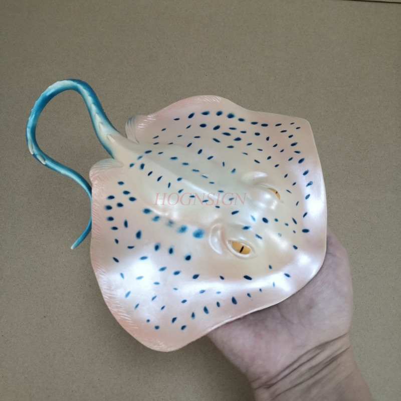 수족관 동물 모형 장난감 수중 세계 어항 어린이 세트  - Aquarium Fish Market 리뷰 및 가격