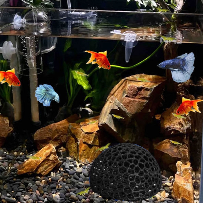 물고기 탱크 수족관 장식을위한 물고기 대피소 동굴 코너 - Aquarium Fish Beautiful 리뷰 및 가격