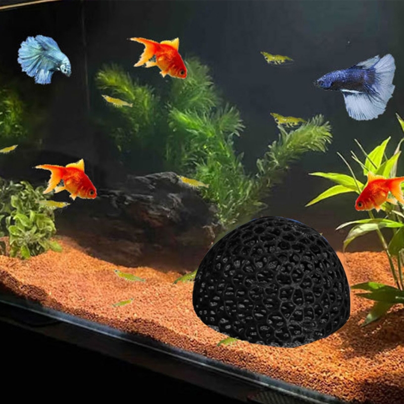 물고기 탱크 수족관 장식을위한 물고기 대피소 동굴 코너 - Aquarium Fish Beautiful 리뷰 및 가격