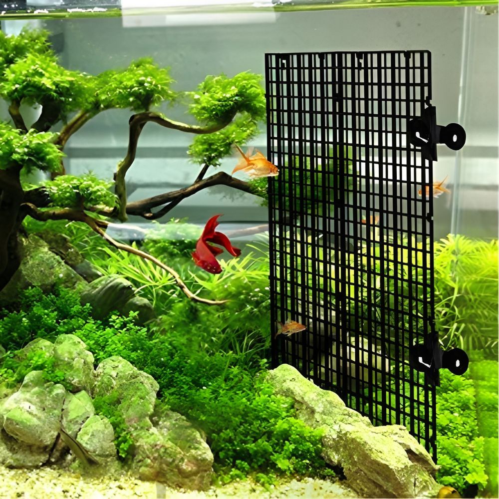 14개 수족관 그리드 분리대 플라스틱 메쉬 세트 (흡착 - Tank Divider Mesh 리뷰 및 가격