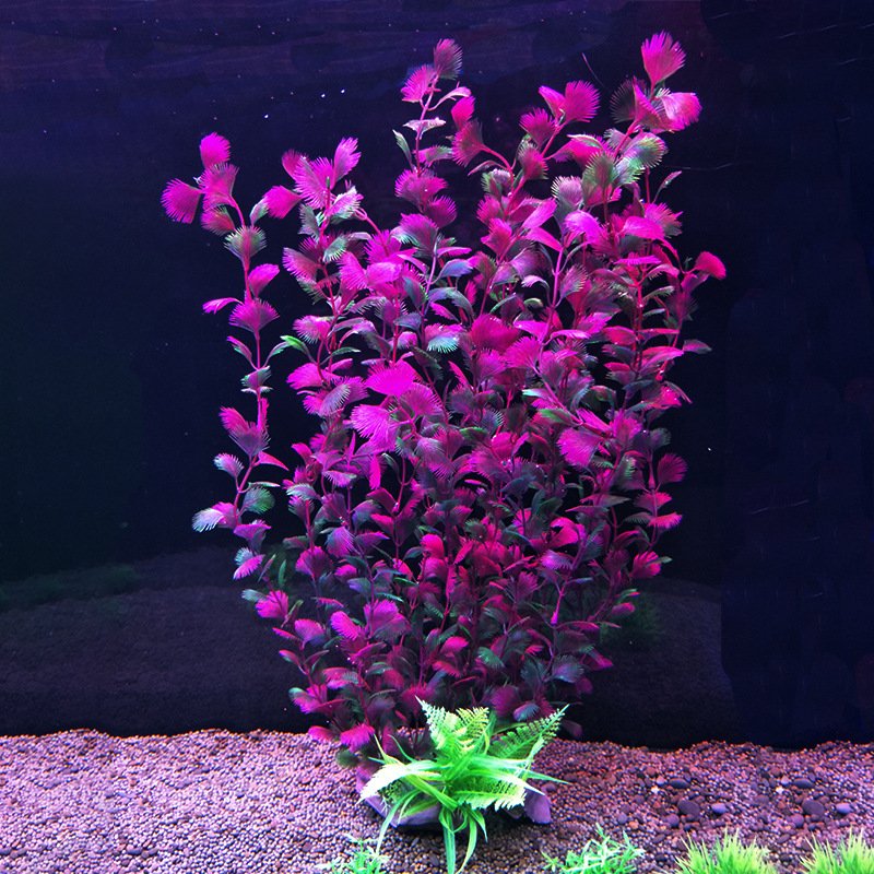 52cm 인공 어항 식물 어항 풍경 수생 식물 심기 수 - Aquarium Fish Beautiful 리뷰 및 가격