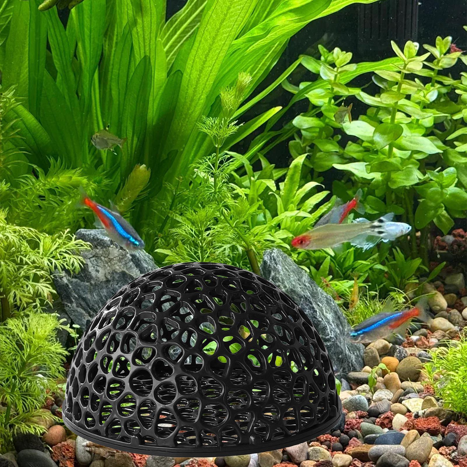 어항 새우 집 동굴 작은 물고기 & 새우 번식용 은신처 - Aquarium Fish Hiding Spot 리뷰 및 가격