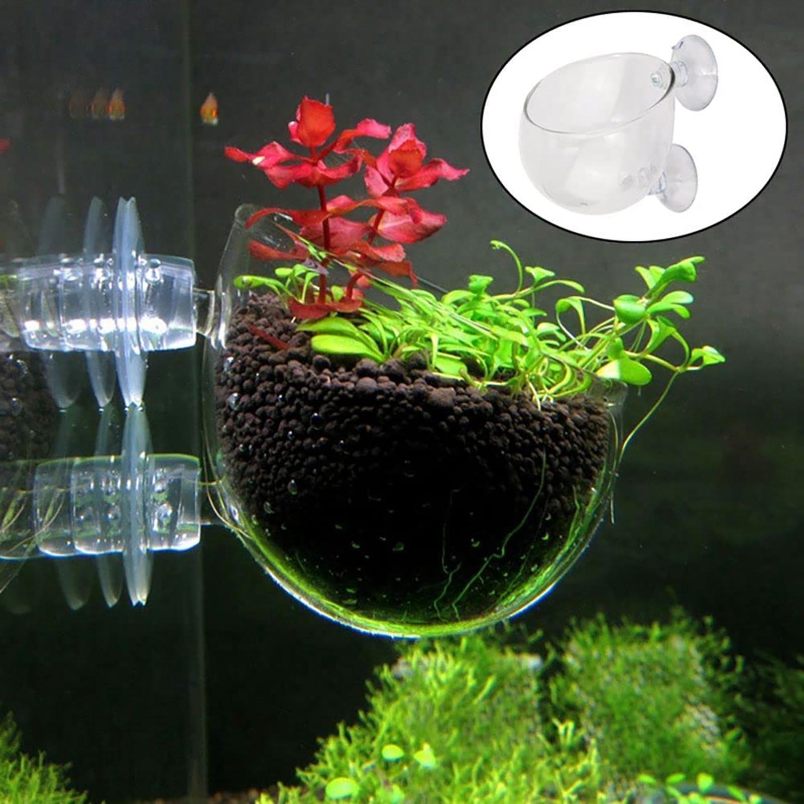 아크릴 수족관 식물 화분 수생 식물 화분 번식 수경 재 - Aquarium Fish Beautiful 리뷰 및 가격