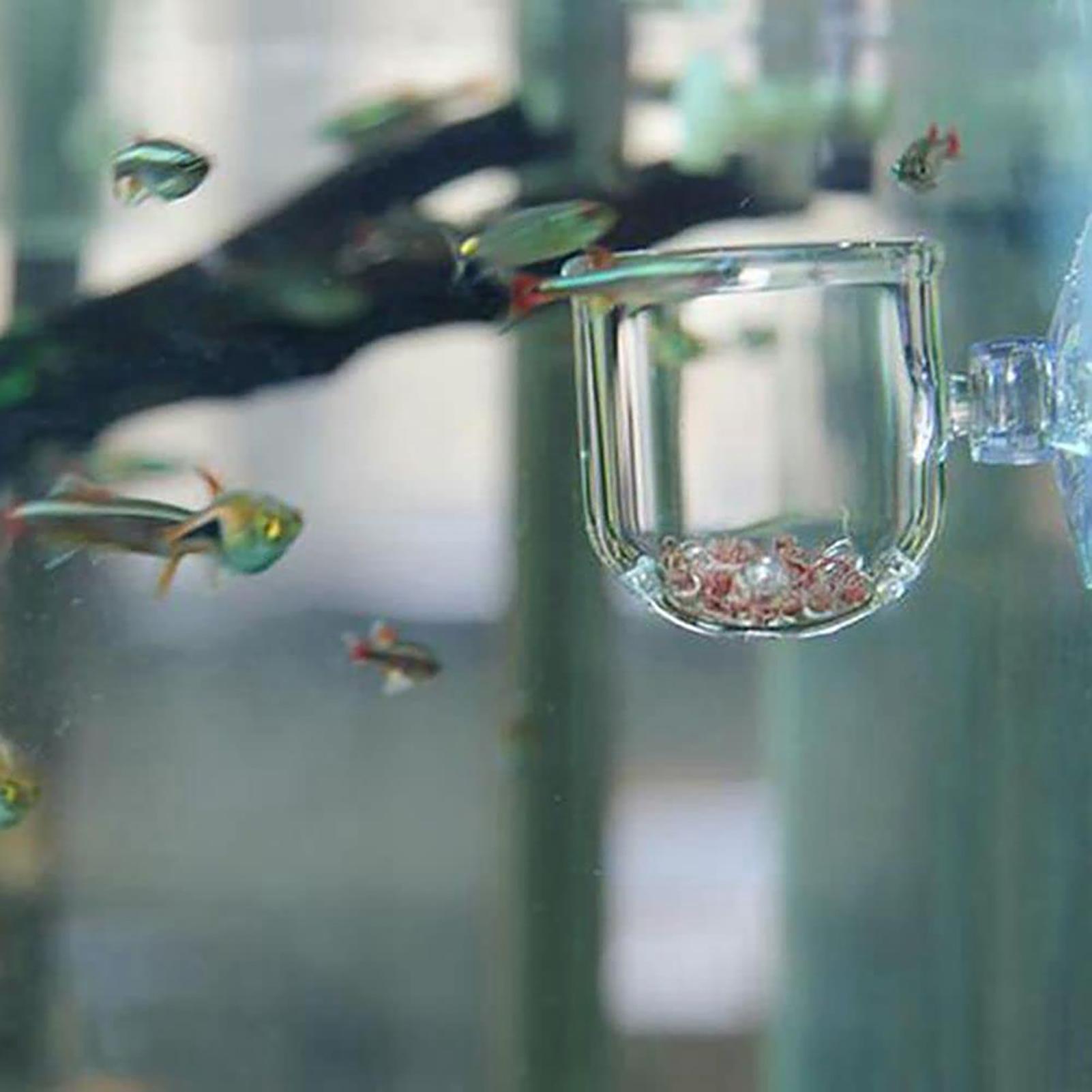 아크릴 수족관 식물 화분 수생 식물 화분 번식 수경 재 - Aquarium Fish Beautiful 리뷰 및 가격