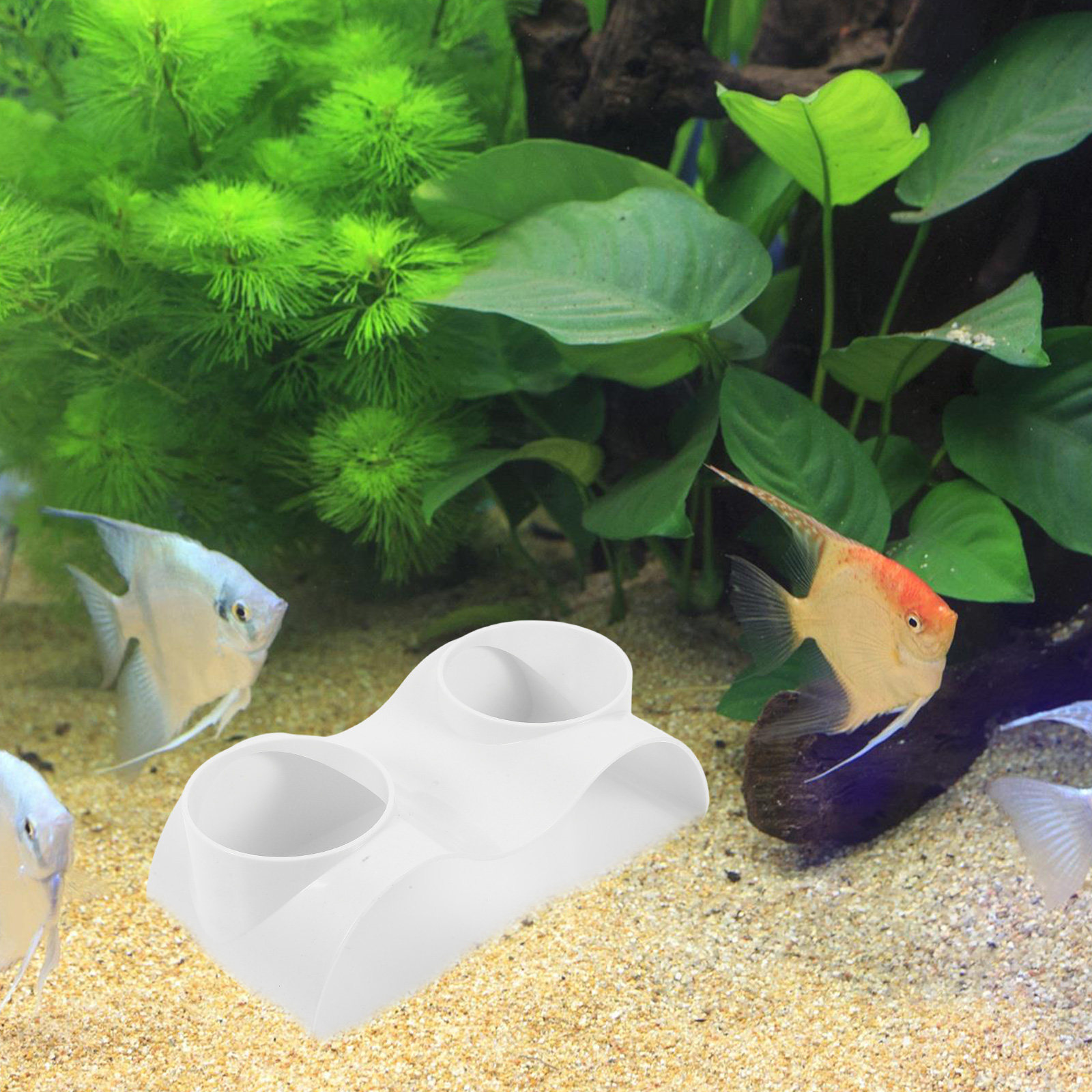 어항 터널 동굴 장식물, 물고기/새우 은신처, 이중 구 - Aquarium Fish Hiding Spot 리뷰 및 가격