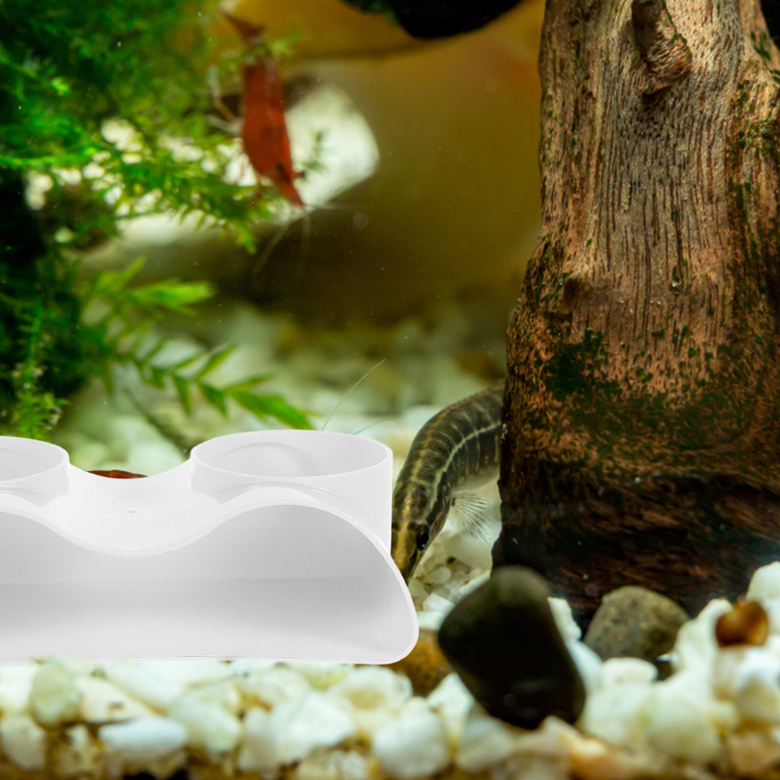 어항 터널 동굴 장식물, 물고기/새우 은신처, 이중 구 - Aquarium Fish Hiding Spot 리뷰 및 가격