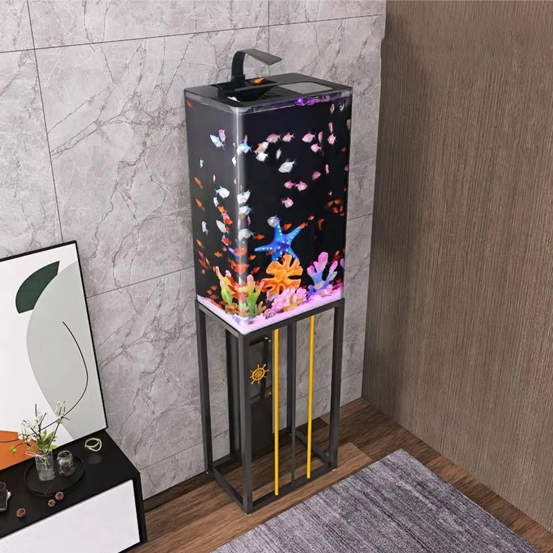 2026 아크릴 수족관 대형 및 중형 천연석 포함 아름 - Aquarium Fish Beautiful 리뷰 및 가격