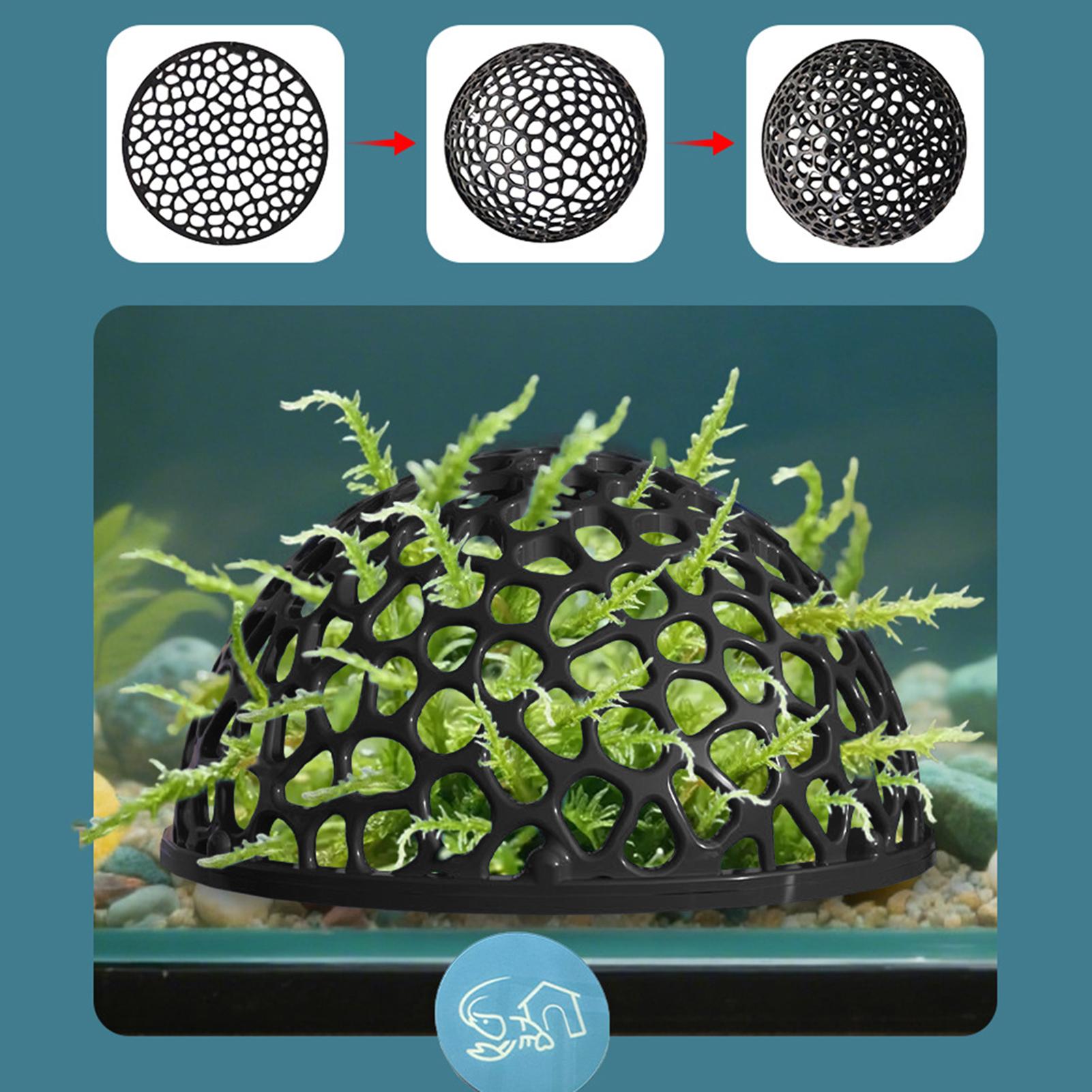 수족관 새우 집 동굴 미니 다공성 베타 집 물고기 은신 - Aquarium Fish Hiding Spot 리뷰 및 가격