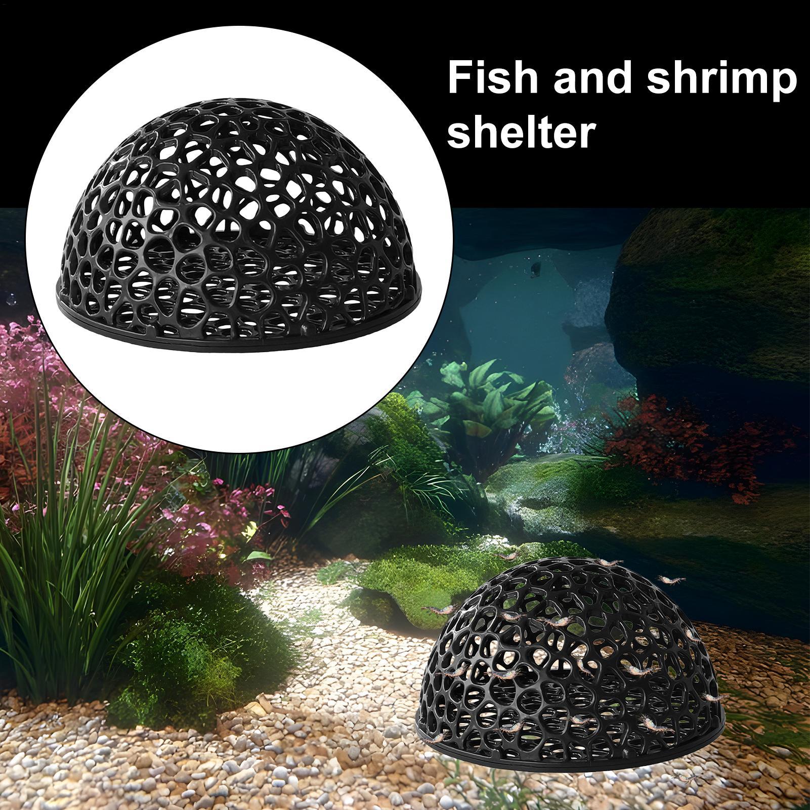 수족관 새우 집 동굴 미니 다공성 베타 하우스 물고기  - Aquarium Fish Hiding Spot 리뷰 및 가격