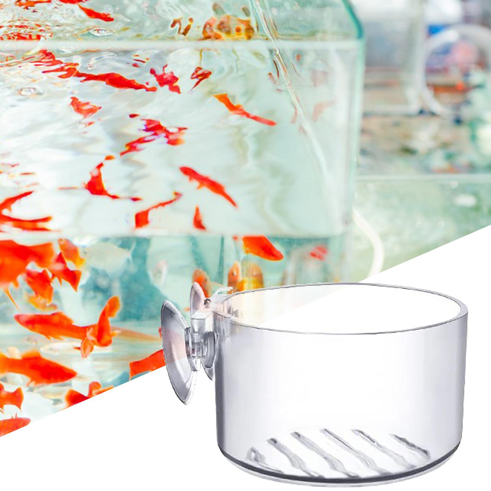 흡착식 수족관 식물 홀더 아크릴 수생 식물 컵 화분 급 - Aquarium Fish Beautiful 리뷰 및 가격