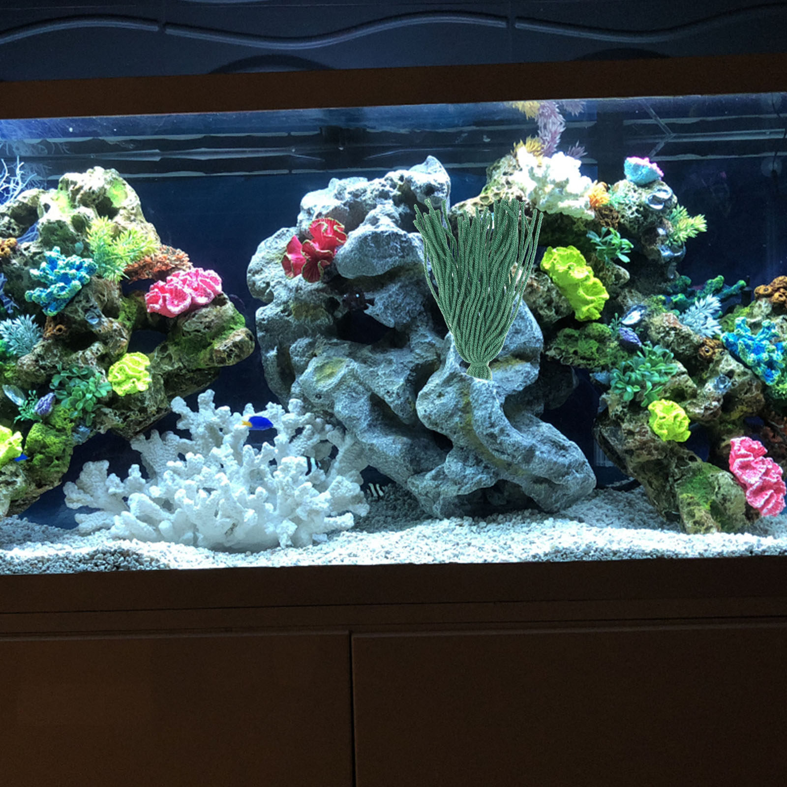 10개 세트, 번식 및 산란을 위한 물고기/새우 사육용 - Aquarium Fish Hiding Spot 리뷰 및 가격