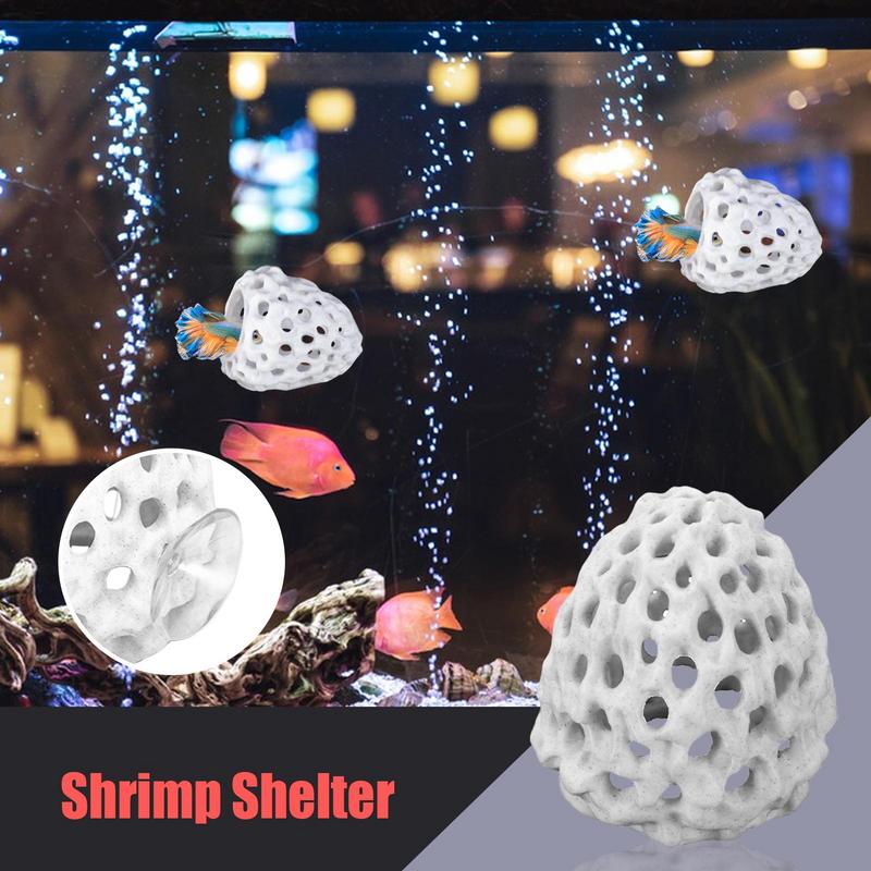 수족관 작은 새우 동굴 미니 다공성 Betta 하우스  - Aquarium Fish Hiding Spot 리뷰 및 가격