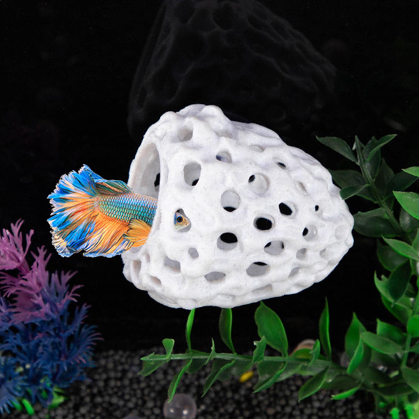 수족관 새우 집 동굴 미니 다공성 베타 하우스 물고기  - Aquarium Fish Hiding Spot 리뷰 및 가격