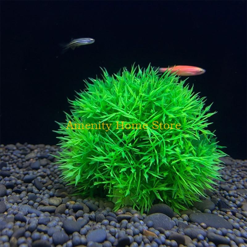 F26C 아쿠아 테라리움 식물을 위한 녹색 인공 마리모 - Aquarium Fish Beautiful 리뷰 및 가격