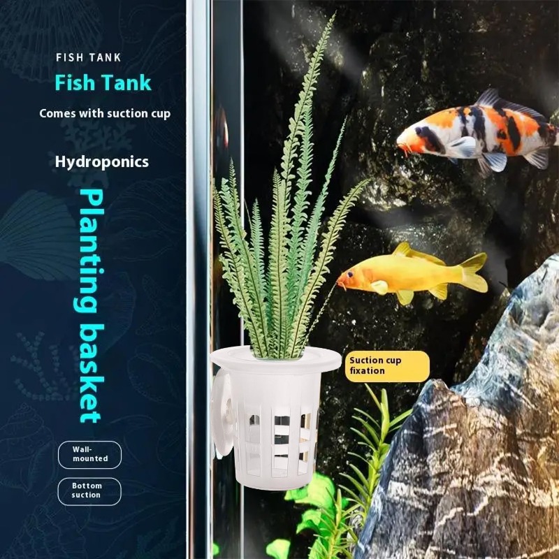 10/20/30Pcs 플라스틱 수족관 심기 컵, 흡착판 - Aquarium Fish Enrichment 리뷰 및 가격