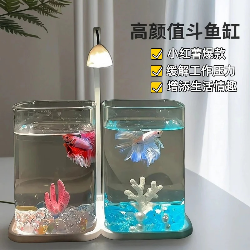 미니 베타 물고기 유리 수조 데스크탑 아쿠아리움 야간  - Fish Toy In Aquarium 리뷰 및 가격