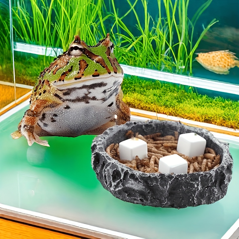 어항용 칼슘 블록 6개 세트, 미네랄, 수족관 용품,  - Aquarium Fish Lego 리뷰 및 가격